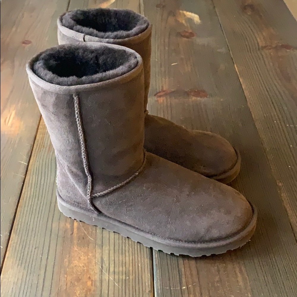 Brown Classic UGGs